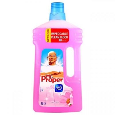 mr.proper_flowerspring_1L